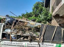 Best Dumpster Rental Services  in Plafield, IN